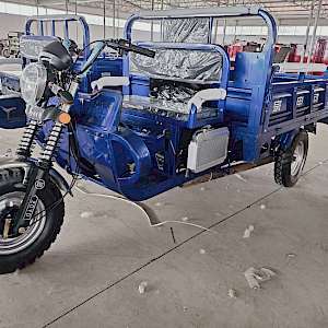 Lote triciclos gasolina 250cc
